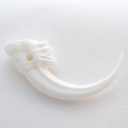 103 - White Eagle Sized Claw (Package of 25)