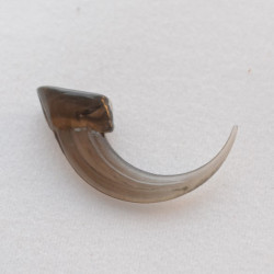 101 - Smoke Owl Sized Claw (Package of 100)
