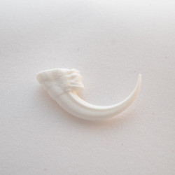 104 - White Small Eagle Claw (Package of 100)